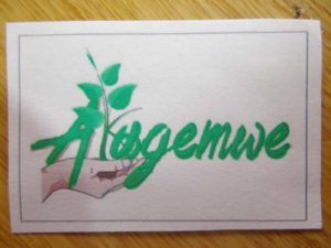 projet4-16
